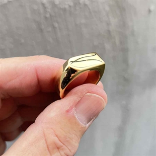 Ring aus vergoldetem Marc-Edelstahl
